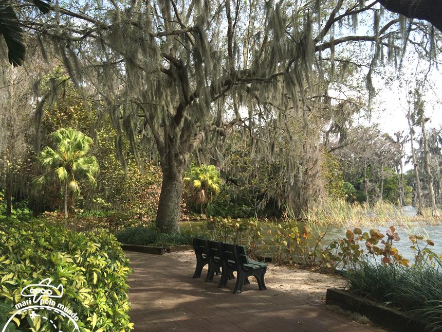  Cypress Garden e Lago